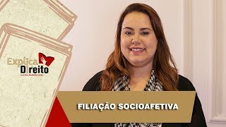 Explica Direito Filiação Socioafetiva  2019 [upl. by Reyam]