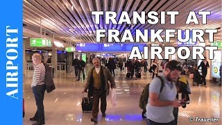 TRANSIT WALK AT FRANKFURT Airport FRA Terminal 1  Connection Flight Transfer Arriving amp Departing [upl. by Eerized523]